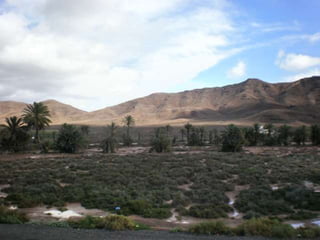 Tala en la construcción de la Ciudad Deportiva de Gran Tarajal