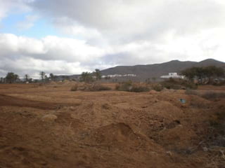 Tala en la construcción de la Ciudad Deportiva de Gran Tarajal