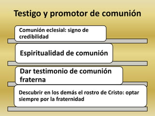 Testigo y promotor de comunión 
Comunión eclesial: signo de 
credibilidad 
Espiritualidad de comunión 
Dar testimonio de comunión 
fraterna 
Descubrir en los demás el rostro de Cristo: optar 
siempre por la fraternidad 
 