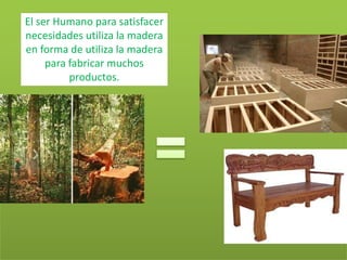 El ser Humano para satisfacer
necesidades utiliza la madera
en forma de utiliza la madera
para fabricar muchos
productos.
 