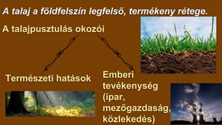 A talaj a földfelszín legfelső, termékeny rétege.
A talajpusztulás okozói
Természeti hatások Emberi
tevékenység
(ipar,
mez...