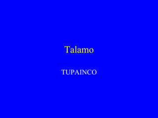 Talamo

TUPAINCO
 