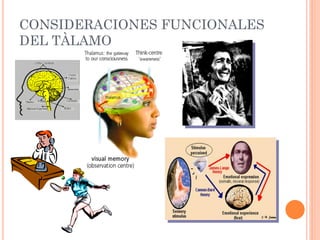 Talamo via visual ... | PDF