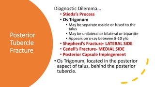 Posterior
Tubercle
Fracture
Diagnostic Dilemma...
• Stieda’s Process
• Os Trigonum
• May be separate ossicle or fused to the
talus
• May be unilateral or bilateral or bipartite
• Appears on x-ray between 8-10 y/o
• Shepherd’s Fracture- LATERAL SIDE
• Cedell’s Fracture- MEDIAL SIDE
• Posterior Capsule Impingement
• Os Trigonum, located in the posterior
aspect of talus, behind the posterior
tubercle.
 