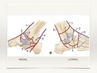 Talar Cortex Talar fractures | PPTX
