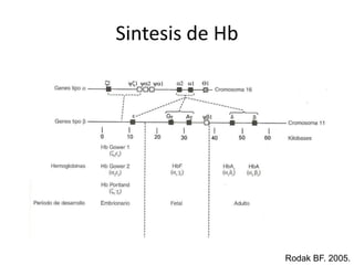 Sintesis de HbRodakBF. 2005. 