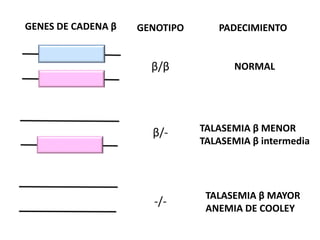 GENES DE CADENA β GENOTIPO PADECIMIENTO
β/β NORMAL
β/- TALASEMIA β MENOR
TALASEMIA β intermedia
-/-
TALASEMIA β MAYOR
ANEMIA DE COOLEY
 