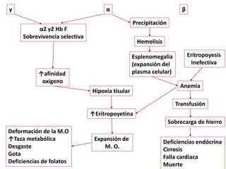 γ α β
Precipitación
α2 γ2 Hb F
Sobrevivencia selectiva
↑afinidad
oxigeno
Hipoxia tisular
↑Eritropoyetina
Expansión de
M. O.
Deformación de la M.O
↑Taza metabólica
Desgaste
Gota
Deficiencias de folatos
Hemolisis
Esplenomegalia
(expansión del
plasma celular)
Eritropoyesis
Inefectiva
Anemia
Transfusión
Sobrecarga de hierro
Deficiencias endócrina
Cirrosis
Falla cardiaca
Muerte
 