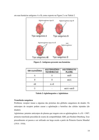 em suas hemácias antígenos A e B, como exposto na Figura 2 e na Tabela 2.

Figura 2- Antígenos presente nas hemácias

Tabela 2-Aglutinogenios e Aglutininas
Transfusão sanguínea
Problema: receptor imune a algumas das proteínas dos glóbulos sanguíneos do doador. Os
anticorpos do receptor podem causar a aglutinação e hemólise das células injetadas (do
doador).
Aglutininas: potentes anticorpos do plasma que reagem com os aglutinogênios A e B. • 1907:
primeira transfusão precedida de exame de compatiblidade ABO, por Reuben Ottenberg. Esse
procedimento só passou a ser utilizado em larga escala a partir da Primeira Guerra Mundial
(1914 - 1918).
14

 