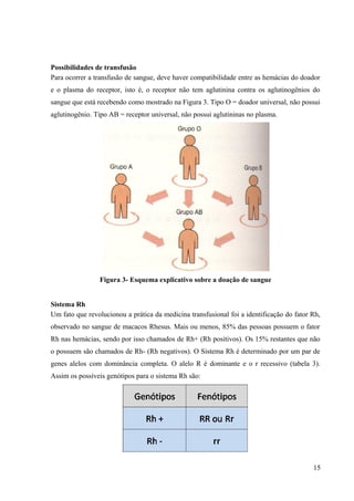 Possibilidades de transfusão
Para ocorrer a transfusão de sangue, deve haver compatibilidade entre as hemácias do doador
e o plasma do receptor, isto é, o receptor não tem aglutinina contra os aglutinogênios do
sangue que está recebendo como mostrado na Figura 3. Tipo O = doador universal, não possui
aglutinogênio. Tipo AB = receptor universal, não possui aglutininas no plasma.

Figura 3- Esquema explicativo sobre a doação de sangue
Sistema Rh
Um fato que revolucionou a prática da medicina transfusional foi a identificação do fator Rh,
observado no sangue de macacos Rhesus. Mais ou menos, 85% das pessoas possuem o fator
Rh nas hemácias, sendo por isso chamados de Rh+ (Rh positivos). Os 15% restantes que não
o possuem são chamados de Rh- (Rh negativos). O Sistema Rh é determinado por um par de
genes alelos com dominância completa. O alelo R é dominante e o r recessivo (tabela 3).
Assim os possíveis genótipos para o sistema Rh são:

15

 