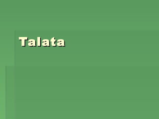 TalataTalata
 