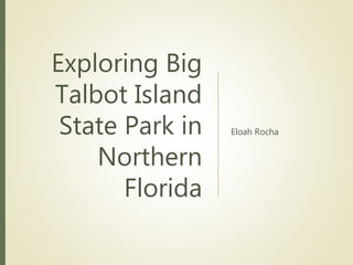 Exploring Big
Talbot Island
State Park in
Northern
Florida
Eloah Rocha
 