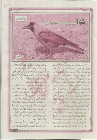 �
‫ر‬�‫و‬
�
‫ا‬����
‫م‬�‫ٹ‬
‫ا‬‫ڈ‬
 