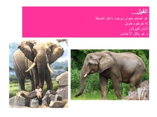 ‫الفيل‬...
‫الحديقة‬ ‫داخل‬ ‫موجود‬ ‫حيوان‬ ‫أضخم‬ ‫هو‬
‫طويل‬ ‫خرطوم‬ ‫له‬
‫كبيرتان‬ ‫أذنان‬
‫األعشاب‬ ‫يأكل‬ ‫هو‬ ‫و‬
 