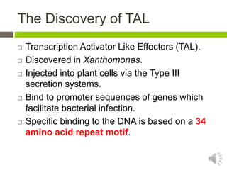 Genome Editing with TALENS | PPTX