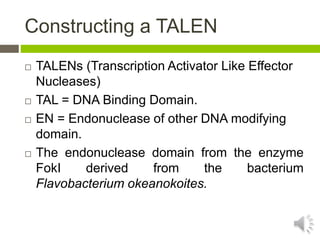 Constructing a TALEN
 TALENs (Transcription Activator Like Effector
Nucleases)
 TAL = DNA Binding Domain.
 EN = Endonuclease of other DNA modifying
domain.
 The endonuclease domain from the enzyme
FokI derived from the bacterium
Flavobacterium okeanokoites.
 