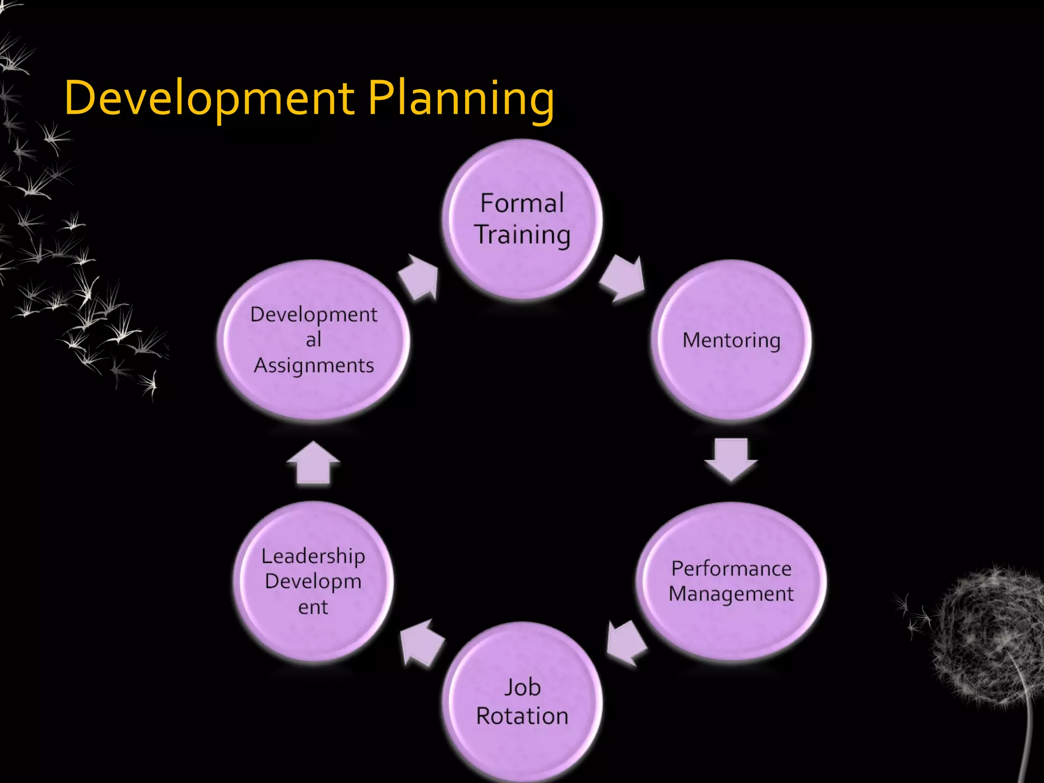 Development Planning
 