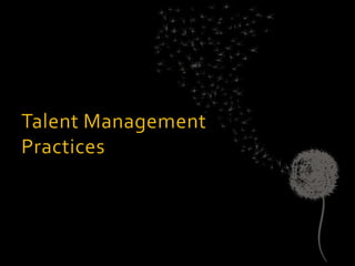 Talent  - final presentation