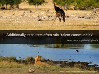 Photo Credit: Scott Liddle http://bit.ly/1n63my1
Additionally, recruiters often ruin "talent communities"
Learn more: http://bit.ly/1q6sNCN
 