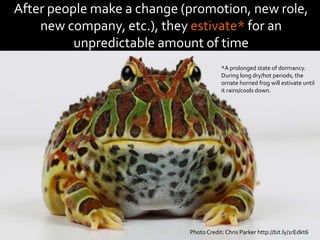 Photo Credit: Chris Parker http://bit.ly/1rEdkt6
After people make a change (promotion, new role,
new company, etc.), they estivate* for an
unpredictable amount of time
*A prolonged state of dormancy.
During long dry/hot periods, the
ornate horned frog will estivate until
it rains/cools down.
 
