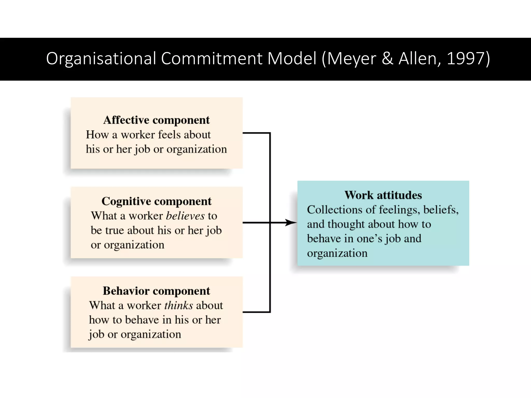 Organisational Commitment Model (Meyer & Allen, 1997)
 
