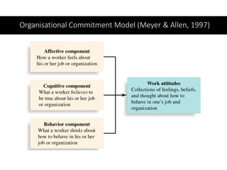 Organisational Commitment Model (Meyer & Allen, 1997)
 