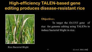 Fragrant Rice Talens TALENs: A WIDELY APPLICABLE TECHNOLOGY FOR TARGETED GENOME EDITING | PDF