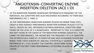 ANGIOTENSIN-CONVERTING ENZYME
INSERTION/DELETION (ACE I/D)
• IN THE MARATHON RUNNERS SIGNIFICANT DIFFERENCES IN FREQUENCY OF THE
INDIVIDUAL ACE GENOTYPES WAS ALSO DISCOVERED ACCORDING TO THEIR RACE
PERFORMANCE (FIG 2, TABLE 2)
• IN TOP-PERFORMANCE MARATHON RUNNERS (PLACED NO WORSE THAN 50TH,
GROUP A) AND AVERAGE-PERFORMANCE MARATHON RUNNERS (PLACED 51ST TO
200TH, GROUPS M2-M4), DIFFERENCES BETWEEN INDIVIDUAL GENOTYPES WERE
FOUND ON THE LEVEL OF 5 % SIGNIFICANCE . IMPORTANT IS THAT D/D GENOTYPE
WAS NOT FOUND IN THE GROUP OF TOP MARATHON RUNNERS (GROUP M1). THE
LOWER THE PERFORMANCE, THE HIGHER WAS THE FREQUENCY OF D/D GENOTYPE.
THE HETEROZYGOUS FORM OF I/D GENOTYPE WAS HIGH IN RUNNERS PLACED NO
WORSE THAN 100TH (GROUPS M1 AND M2). STATISTICALLY SIGNIFICANT
DIFFERENCES (P ≤ 0.05) AGAINST THE CONTROL GROUP WERE FOUND ONLY IN THE
GROUPS OF THE FIRST THREE PERFORMANCE CATEGORIES (PLACED NO WORSE THAN
150TH).
 
