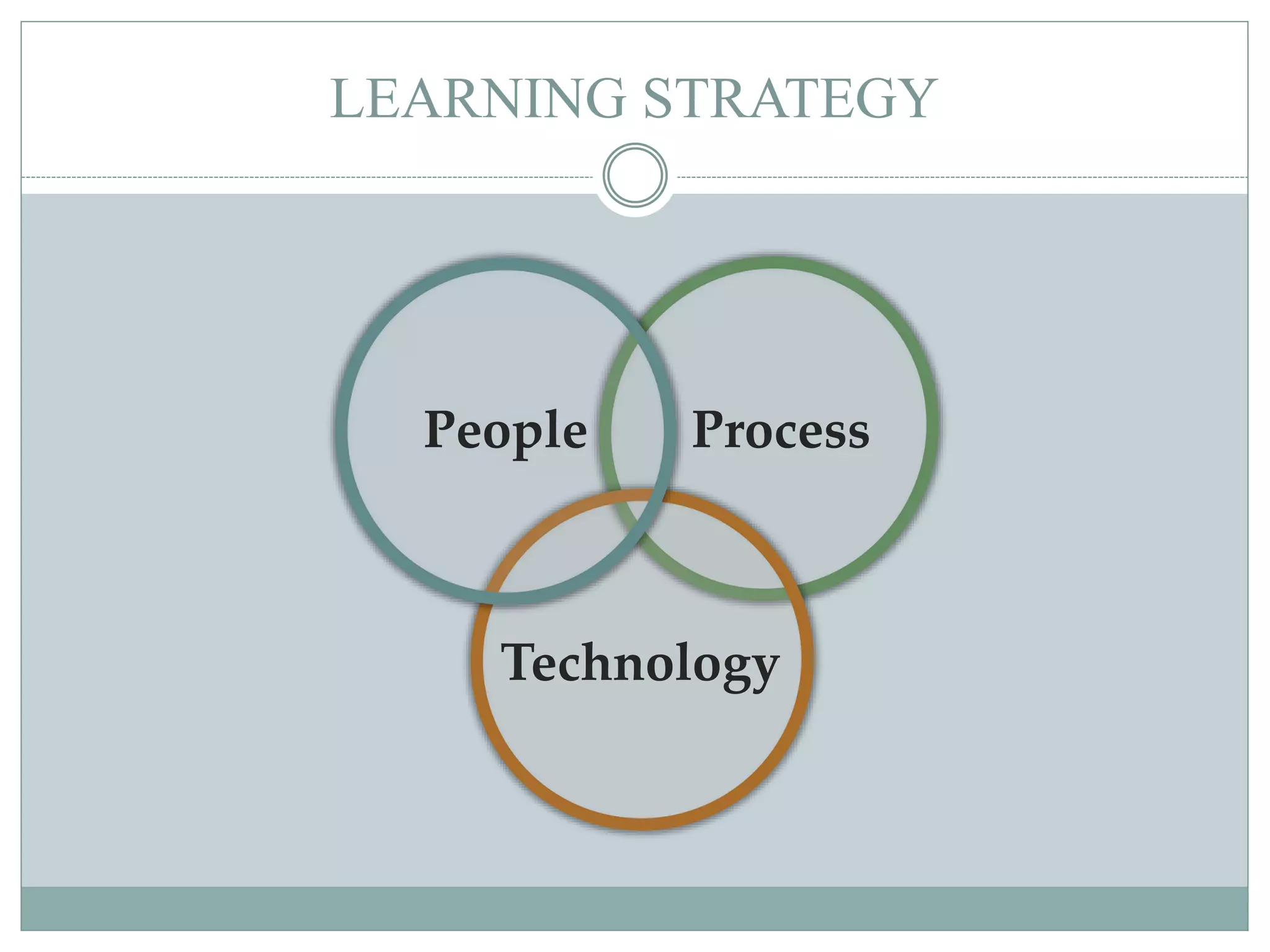 LEARNING STRATEGY
ProcessPeople
Technology
 