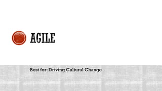 Best for: Driving Cultural Change
 