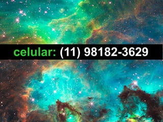 celular: (11) 98182-3629
 
