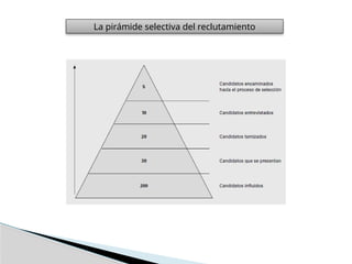 La pirámide selectiva del reclutamiento
 