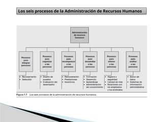 Los seis procesos de la Administración de Recursos Humanos
 