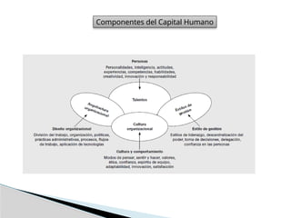Componentes del Capital Humano
 