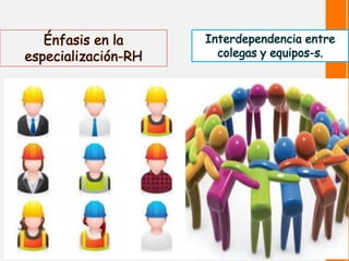 Énfasis en la especialización-RH 
Interdependencia entre colegas y equipos-s.  