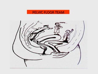 PELVIC FLOOR TEAMPELVIC FLOOR TEAM
 