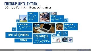 Profile TalentPool Vietnam