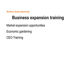 Workforce System Opportunity

Business expansion training
Market expansion opportunities
Economic gardening
CEO Training

 