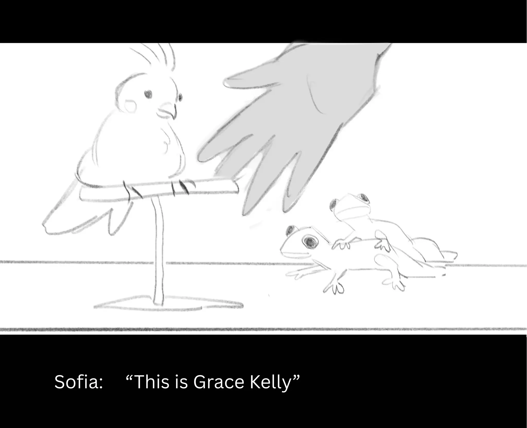 Sofia: “This is Grace Kelly”
 