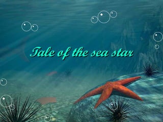 Tale of the sea star 