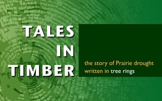 TALES
     IN
          the story of Prairie drought
TIMBER    written in tree rings
 