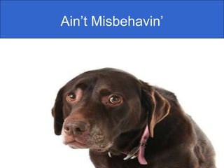 Ain’tMisbehavin’