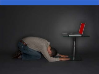 Meet the Project Manager