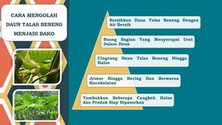 Taleus Sunda CONTOH PROPOSAL PENGAJUAN BANTUAN TALEUS BENENG.pptx
