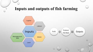 Pond Design And Construction System In An Aqua Farm. | PPTX | Fish and ...
