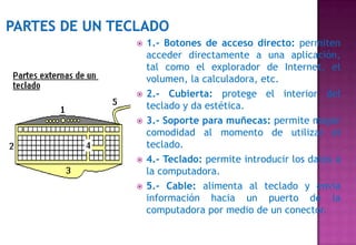    1.- Botones de acceso directo: permiten
    acceder directamente a una aplicación,
    tal como el explorador de Internet, el
    volumen, la calculadora, etc.
   2.- Cubierta: protege el interior del
    teclado y da estética.
   3.- Soporte para muñecas: permite mayor
    comodidad al momento de utilizar el
    teclado.
   4.- Teclado: permite introducir los datos a
    la computadora.
   5.- Cable: alimenta al teclado y envía
    información hacia un puerto de la
    computadora por medio de un conector.
 