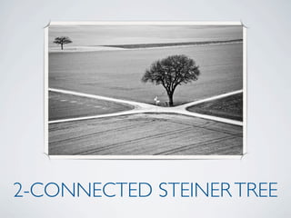 2-CONNECTED STEINER TREE
 