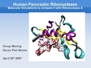 Human Pancreatic Ribonuclease Molecular Simulations to compare it with Ribonuclease A Group Meeting Xavier Prat-Resina April 20 th  2007 