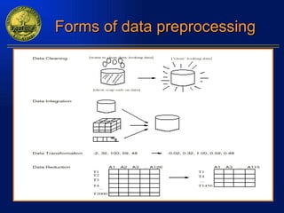 Forms of data preprocessing  
