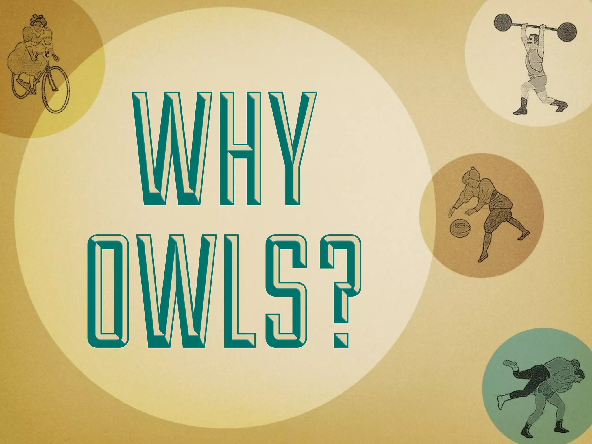 WHY
OWLS?
 